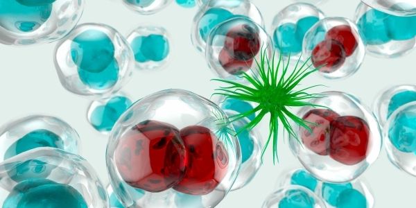 ゾフルーザを超える？ 新規抗インフルエンザ薬の研究最前線